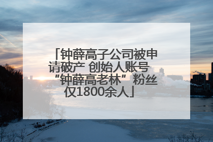 钟薛高子公司被申请破产 创始人账号“钟薛高老林”粉丝仅1800余人