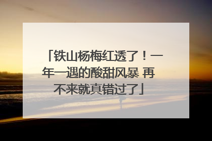 铁山杨梅红透了！一年一遇的酸甜风暴 再不来就真错过了