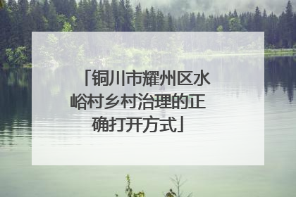 铜川市耀州区水峪村乡村治理的正确打开方式