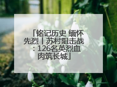 铭记历史 缅怀先烈丨苏村阻击战：126名英烈血肉筑长城
