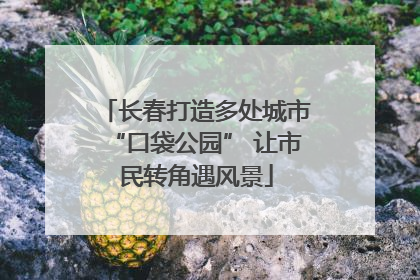 长春打造多处城市“口袋公园” 让市民转角遇风景