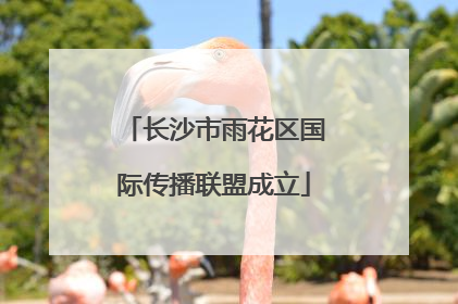 长沙市雨花区国际传播联盟成立