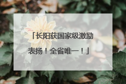 长阳获国家级激励表扬！全省唯一！