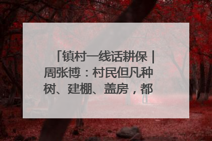 镇村一线话耕保｜周张博：村民但凡种树、建棚、盖房，都要向街道报批