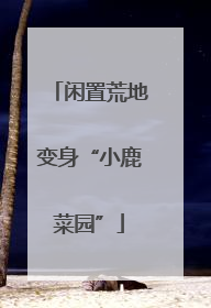闲置荒地变身“小鹿菜园”