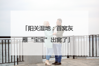 阳关湿地：首窝灰雁“宝宝”出窝了