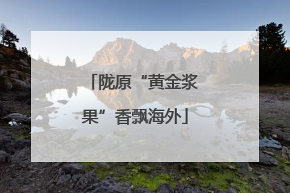 陇原“黄金浆果”香飘海外