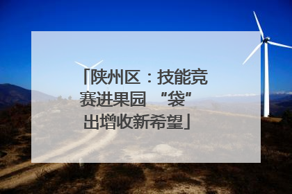 陕州区：技能竞赛进果园 “袋”出增收新希望