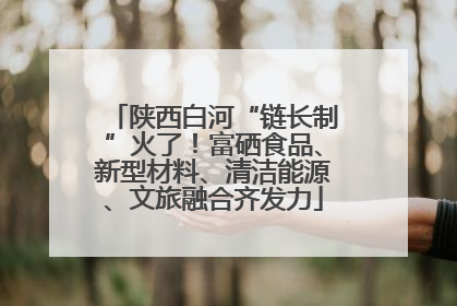 陕西白河“链长制”火了！富硒食品、新型材料、清洁能源、文旅融合齐发力