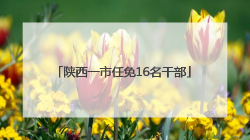 陕西一市任免16名干部