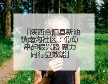 陕西合阳县新池镇南沟社区：葡萄串起振兴路 聚力同行显效能