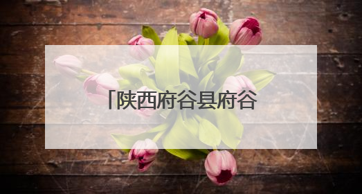 陕西府谷县府谷镇高梁村：乡货“触网出村” 农户“云端致富”