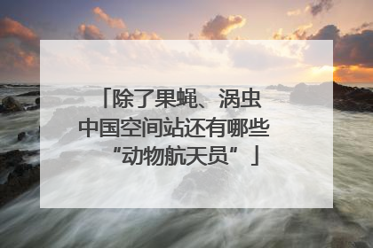 除了果蝇、涡虫 中国空间站还有哪些“动物航天员”