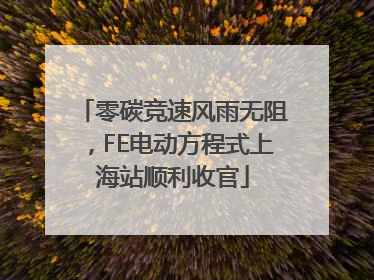 零碳竞速风雨无阻，FE电动方程式上海站顺利收官