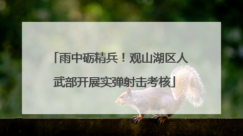 雨中砺精兵！观山湖区人武部开展实弹射击考核