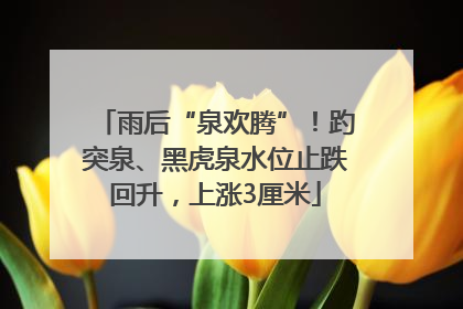 雨后“泉欢腾”！趵突泉、黑虎泉水位止跌回升，上涨3厘米