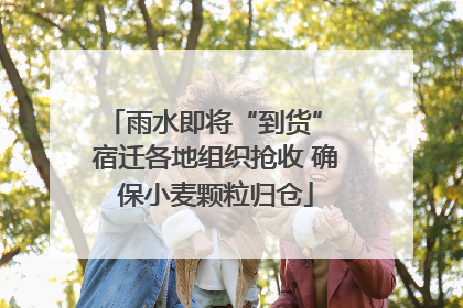 雨水即将“到货” 宿迁各地组织抢收 确保小麦颗粒归仓