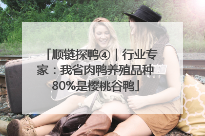 顺链探鸭④｜行业专家：我省肉鸭养殖品种80%是樱桃谷鸭