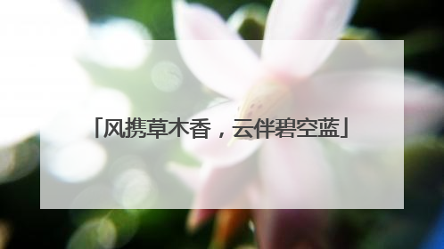 风携草木香，云伴碧空蓝