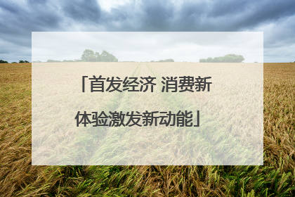 首发经济 消费新体验激发新动能