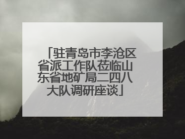驻青岛市李沧区省派工作队莅临山东省地矿局二四八大队调研座谈