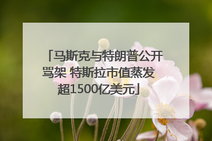 马斯克与特朗普公开骂架 特斯拉市值蒸发超1500亿美元
