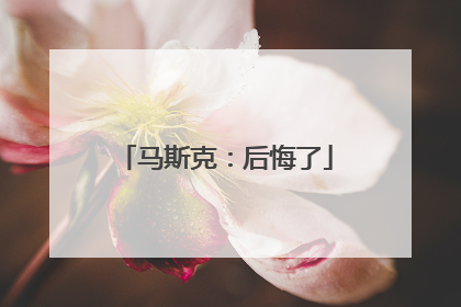 马斯克：后悔了