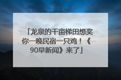 龙泉的千亩梯田想奖你一晚民宿一只鸡！《90早新闻》来了