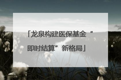 龙泉构建医保基金“即时结算”新格局