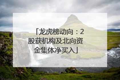 龙虎榜动向：2股获机构及北向资金集体净买入