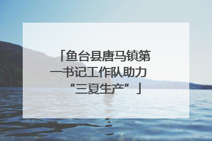 鱼台县唐马镇第一书记工作队助力“三夏生产”