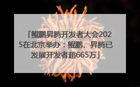 鲲鹏昇腾开发者大会2025在北京举办：鲲鹏、昇腾已发展开发者超665万