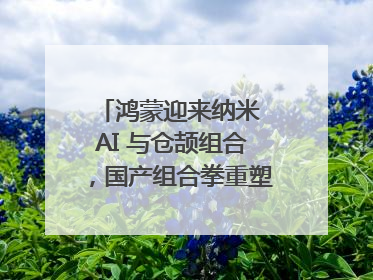 鸿蒙迎来纳米 AI 与仓颉组合，国产组合拳重塑AI搜索体验｜新经济观察