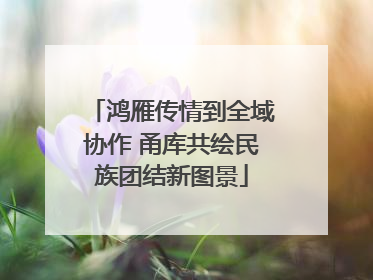 鸿雁传情到全域协作 甬库共绘民族团结新图景