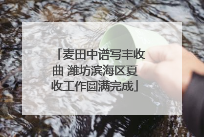 麦田中谱写丰收曲 潍坊滨海区夏收工作圆满完成