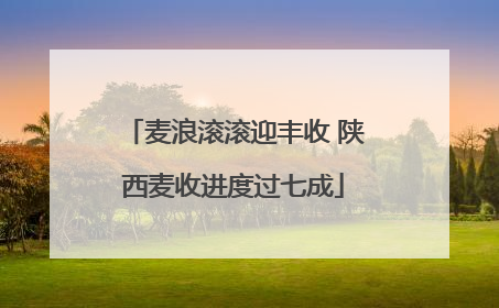麦浪滚滚迎丰收 陕西麦收进度过七成