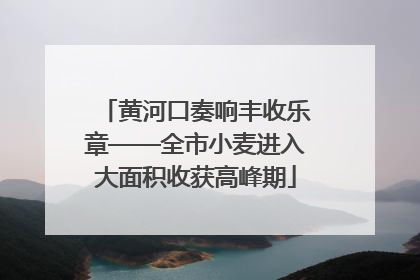 黄河口奏响丰收乐章——全市小麦进入大面积收获高峰期