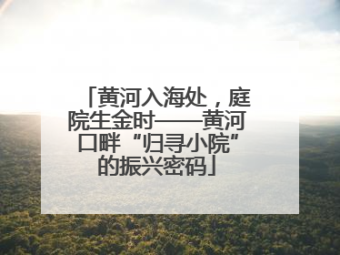 黄河入海处，庭院生金时——黄河口畔“归寻小院”的振兴密码