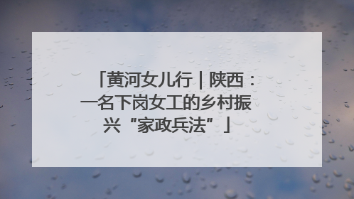 黄河女儿行｜陕西：一名下岗女工的乡村振兴“家政兵法”