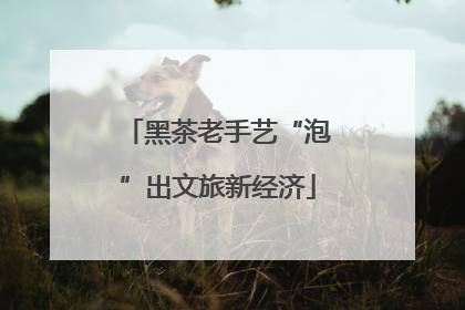 黑茶老手艺“泡”出文旅新经济