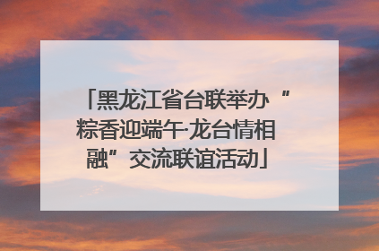 黑龙江省台联举办“粽香迎端午·龙台情相融”交流联谊活动
