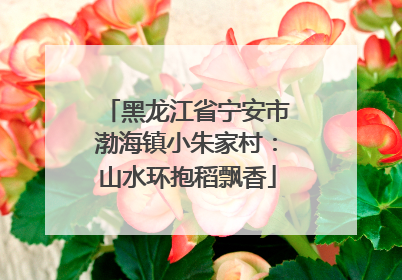 黑龙江省宁安市渤海镇小朱家村：山水环抱稻飘香