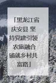 黑龙江省庆安县 坚持党建引领 农旅融合铺就乡村共富路