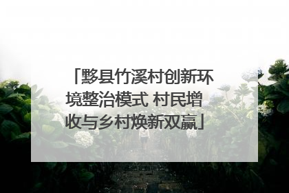 黟县竹溪村创新环境整治模式 村民增收与乡村焕新双赢