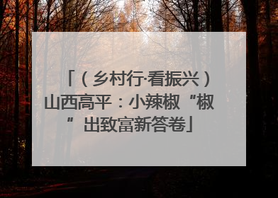 （乡村行·看振兴）山西高平：小辣椒“椒”出致富新答卷