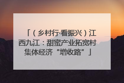 （乡村行·看振兴）江西九江：甜蜜产业拓宽村集体经济“增收路”