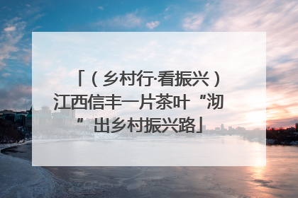 （乡村行·看振兴）江西信丰一片茶叶“沏”出乡村振兴路
