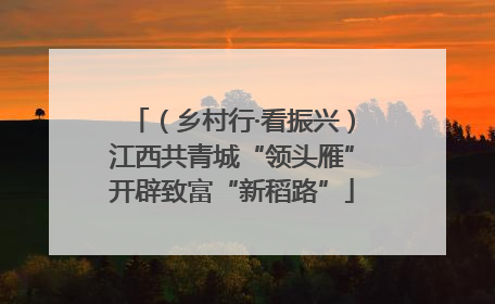 （乡村行·看振兴）江西共青城“领头雁”开辟致富“新稻路”