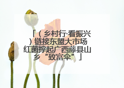 （乡村行·看振兴）链接东盟大市场 红菌撑起广西藤县山乡“致富伞”