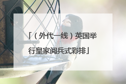 （外代一线）英国举行皇家阅兵式彩排